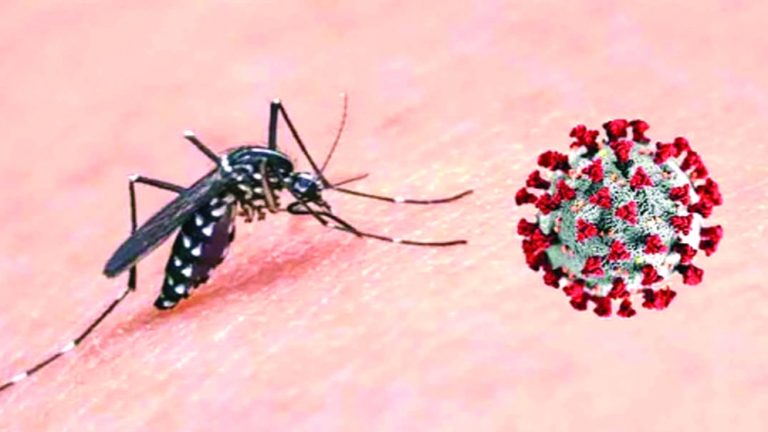 Dengue-6a4372071fdff